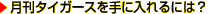 �����^�C�K�[�X����ɓ����ɂ́H