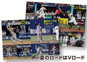 夏のロードはVロード