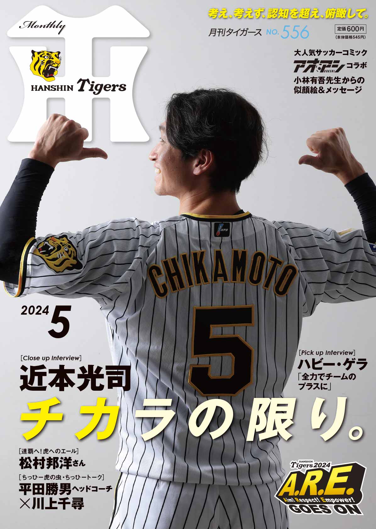 月刊タイガース今月号