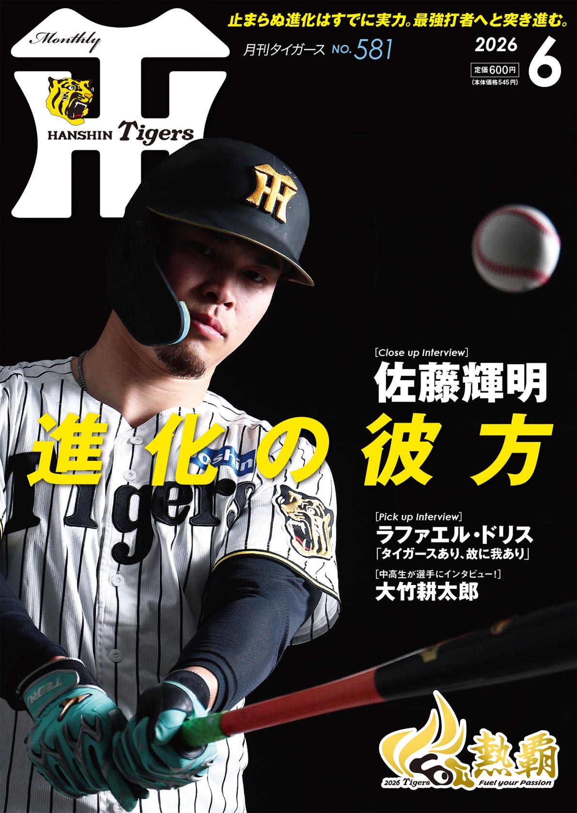 月刊タイガース今月号